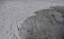 ���շ�ú�ҵ��|(zh��)����(y��ng)ԓ�������x