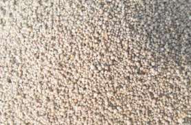 ʲô�Ƿ�ú��