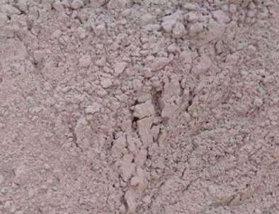 ����Д��ú���Ƿ񓽼�